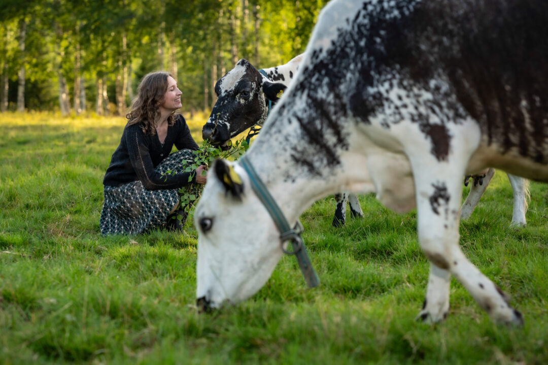 kulningskurs