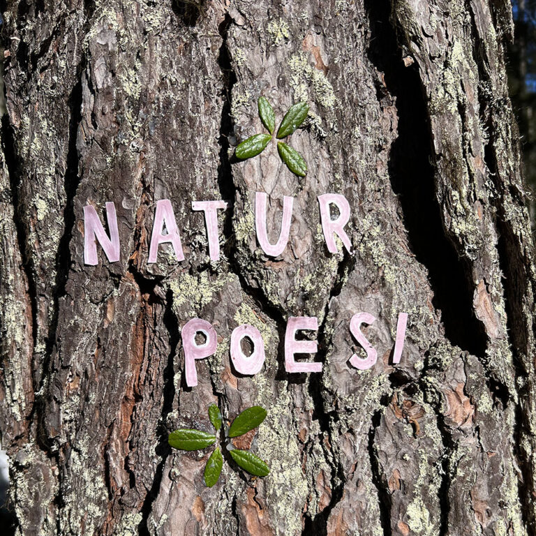 Följ med på poesiworkshop i naturen.